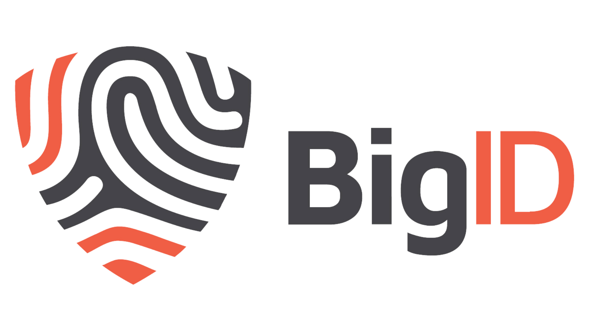 BigID logo