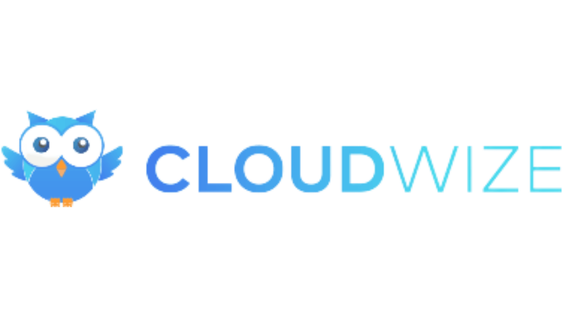 CloudWize  logo