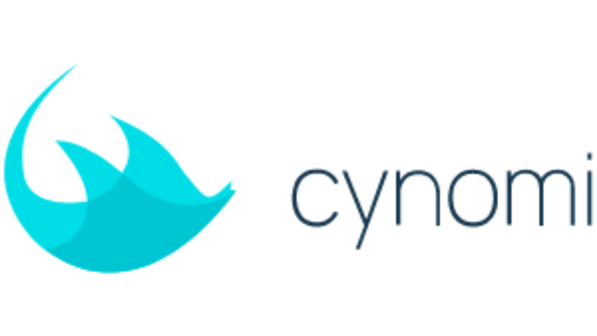 Cynomi logo