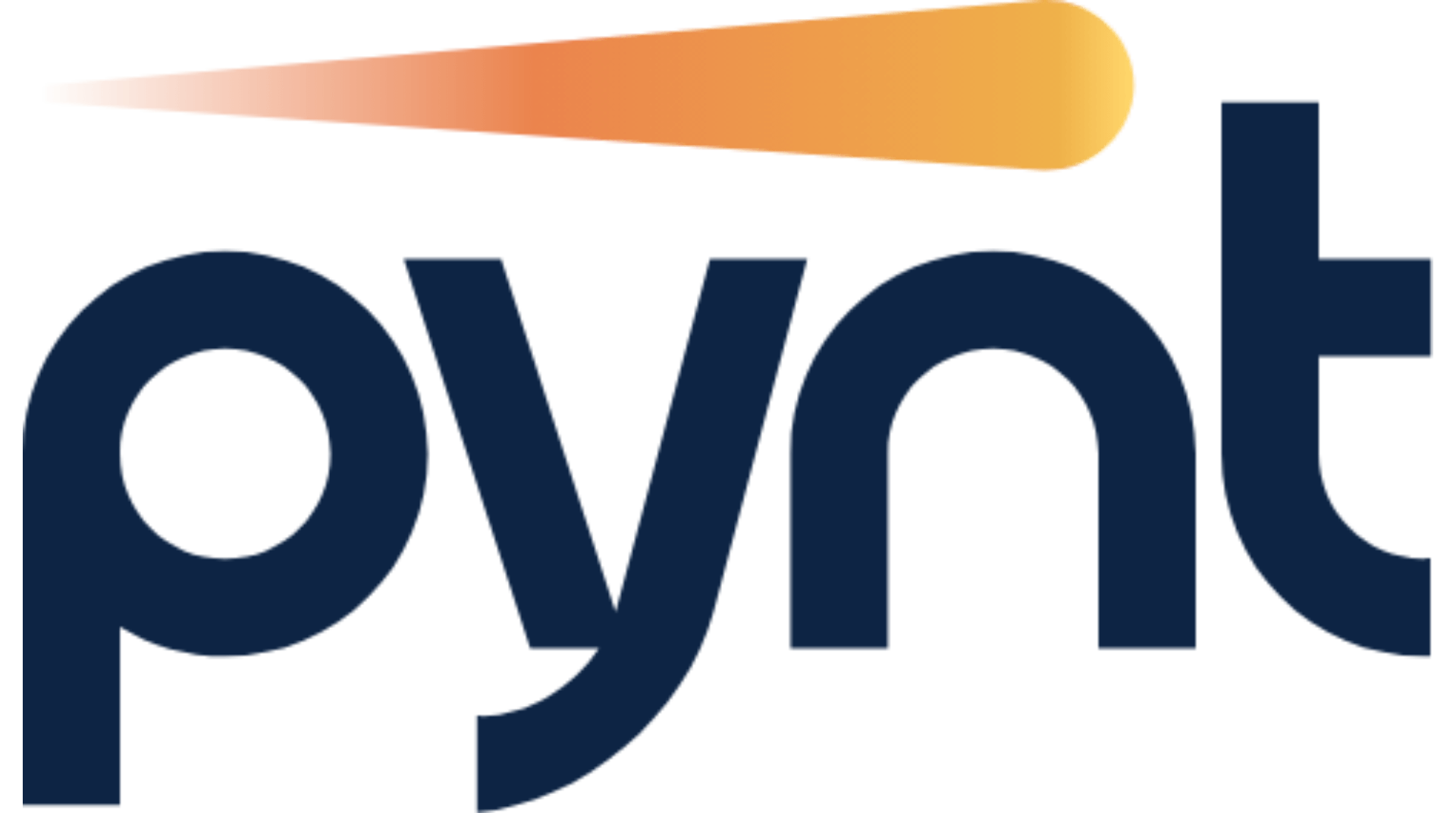 Pynt logo