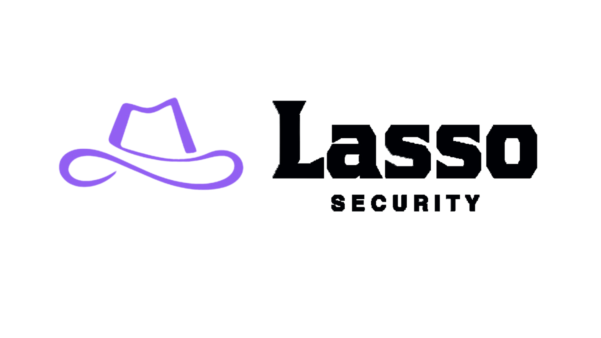 Lasso Security  logo